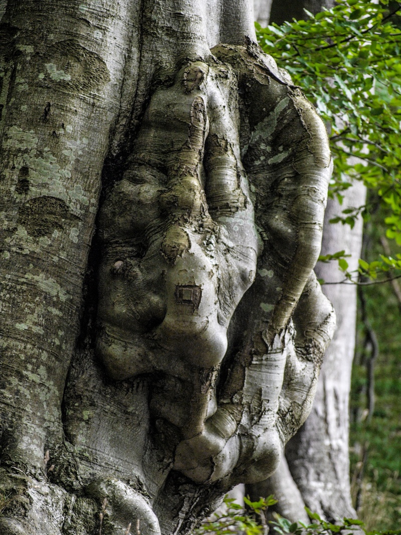 human representation, outdoors, focus on foreground, male likeness, structure, forest, spirituality, belief, ancient, carving - craft product, religion