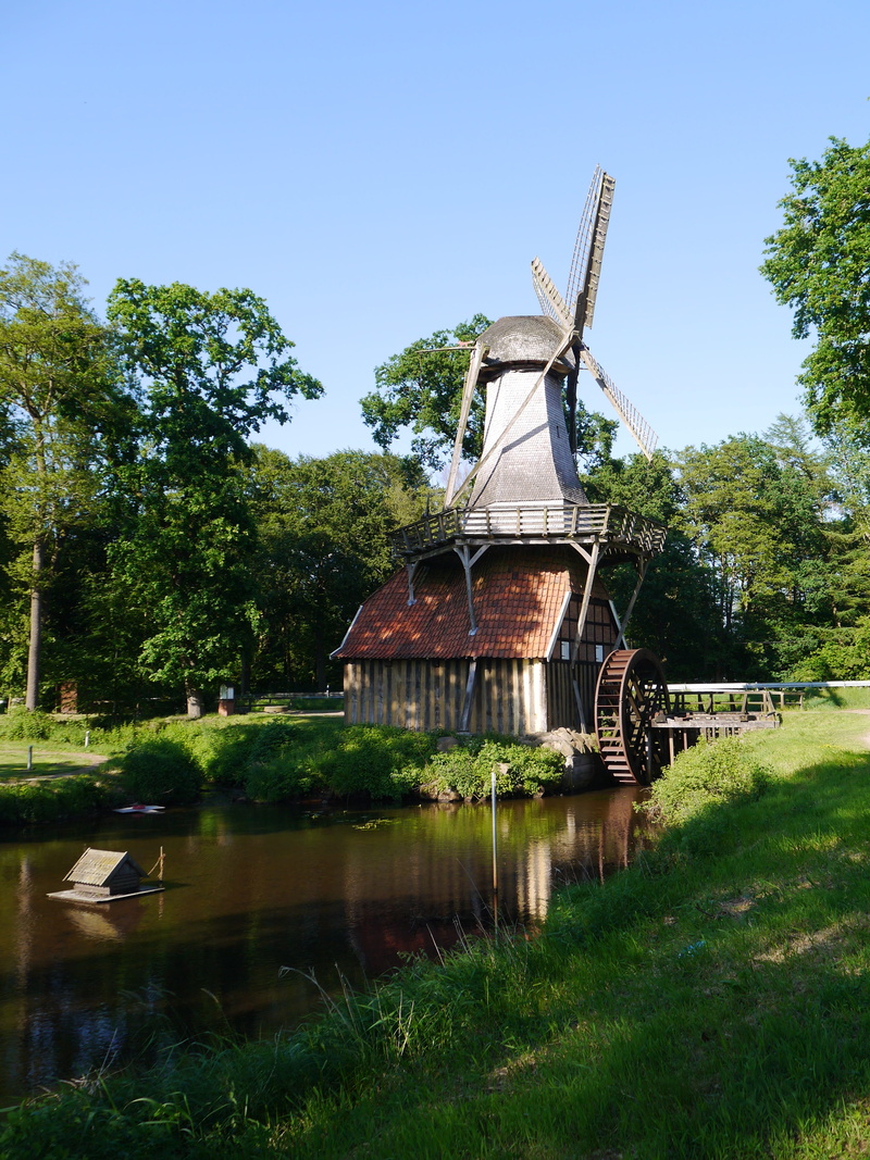growth, outdoors, building exterior, emsland, tree, built structure, water, 4K, no people, fuel and power generation, environmental conservation, architecture
