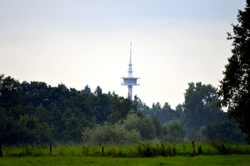 meadow, tower, tourism, land, global communications, emsland, outdoors, plant, germany, day, building, travel, 4K, no people, forest, built structure