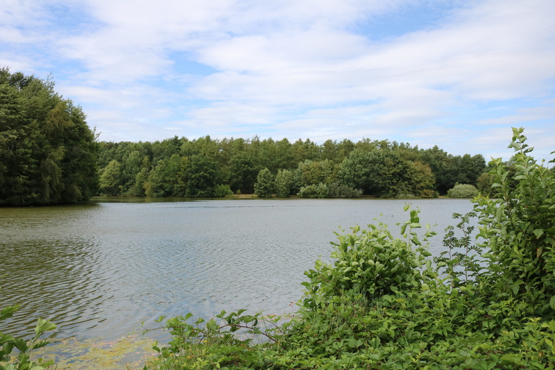 growth, day, rest, no people, outdoors, emsland, 5K, nature, scenics - nature, landscape, relax, green color, sky, cloud - sky, idyllic, water, recovery