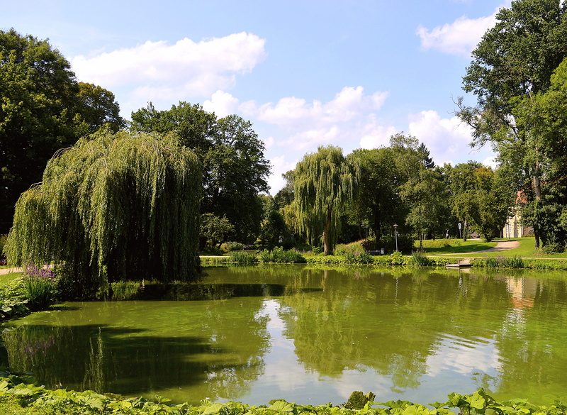day, 2K, mood, july, tranquility, growth, nature, beauty in nature, green color, leisure, plant, ingenuity, summer, bank, tree, sun, landscape, park, trees