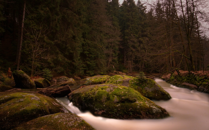 moss, landscape, wilderness, 2K, creeks, forest, rocks