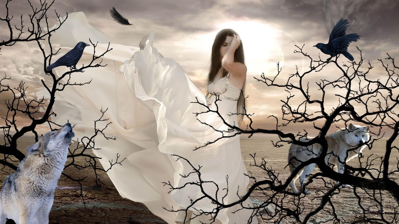 beautiful, gothic, 1080P, feather, girl, wolves, fantasy, wind, goth, ravesns, birds, mystical, woman, dead trees