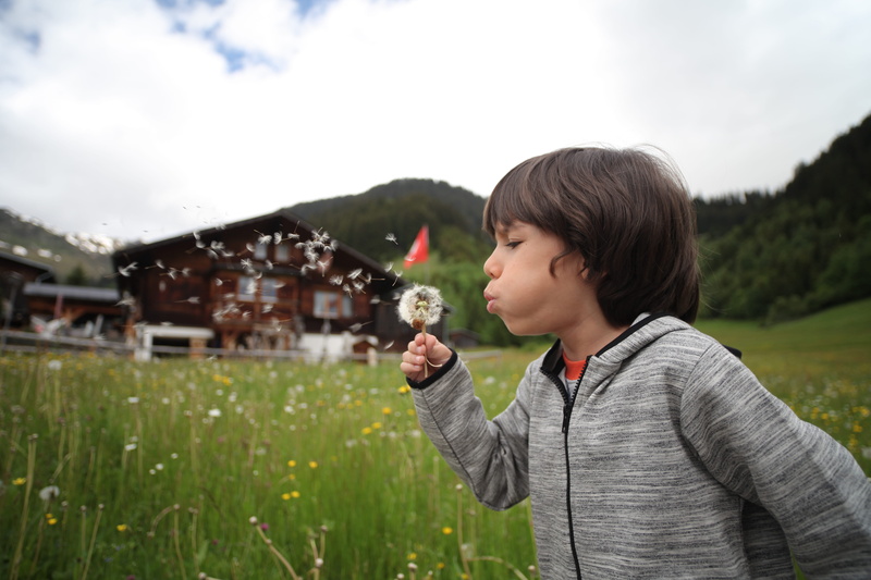 outside, innocence, little, waist up, daylight, field, plant, sky, daytime, flower, flowers, leisure activity, environment, side view, childhood, child
