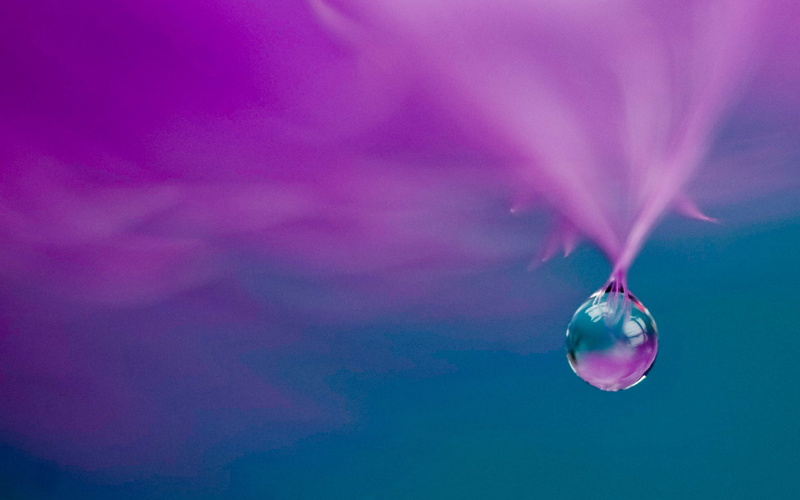 pink color, purple, light - Natural Phenomenon, glare, 1080P, abstract, outdoors, water, shiny, blurred motion, creativity, bright, circle, beauty in nature