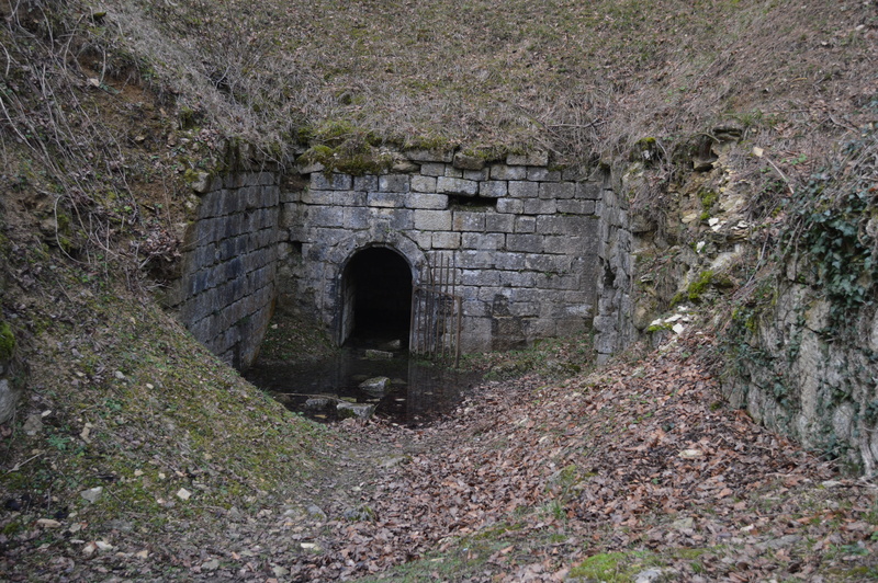 the way forward, bridge, connection, nature, war, wall - building feature, tunnel, day, ruin, plant, direction, 5K, architecture, arch, no people, built structure