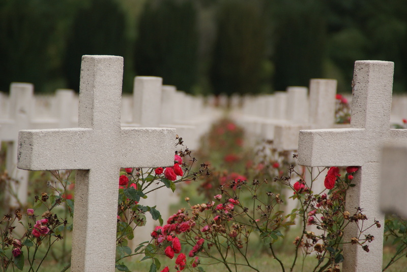 cemetery, war, plant, final resting place, tombstone, resting place, memorial, 4K, day, flower, stone material, emotion, war graves, commemorate, fallen