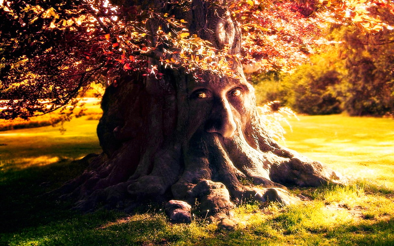 treant, hd, 1080P, fantasy