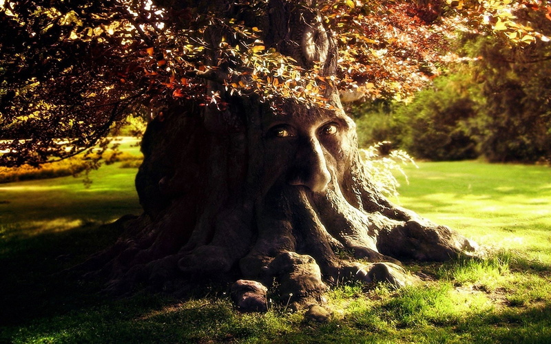 1080P, Dream, Creature, Tree, Fantasy, Treant