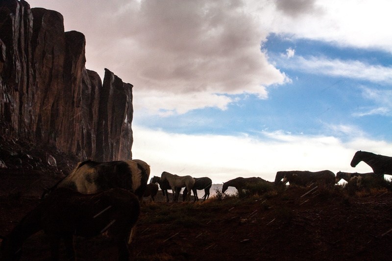 land, outdoors, animal themes, group of animals, sky, oljato-monument valley, 4K, no people, large group of animals, herd, animal, mammal, herbivorous
