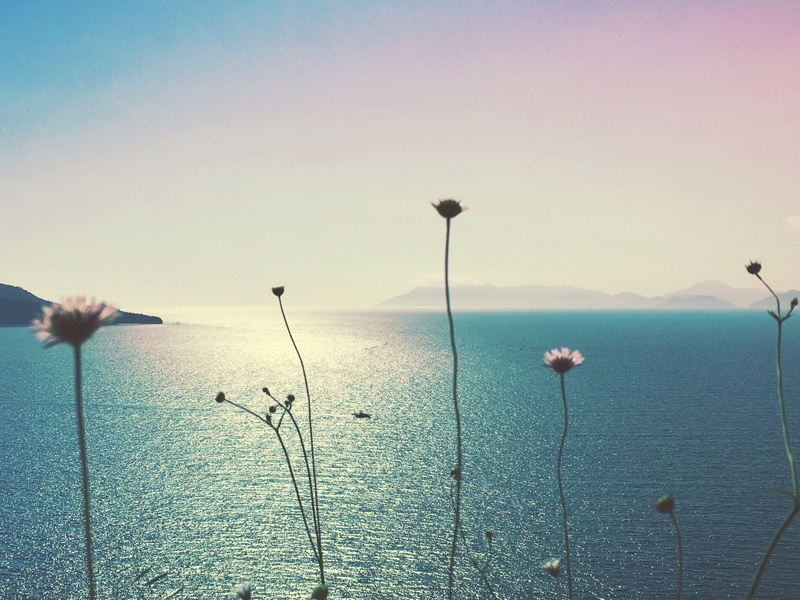 landscape, fethiye, outdoors, 2K, plant stem, tranquil scene, tranquility, turkey, idyllic, sea, non-urban scene, copy space, scenics - nature, nature