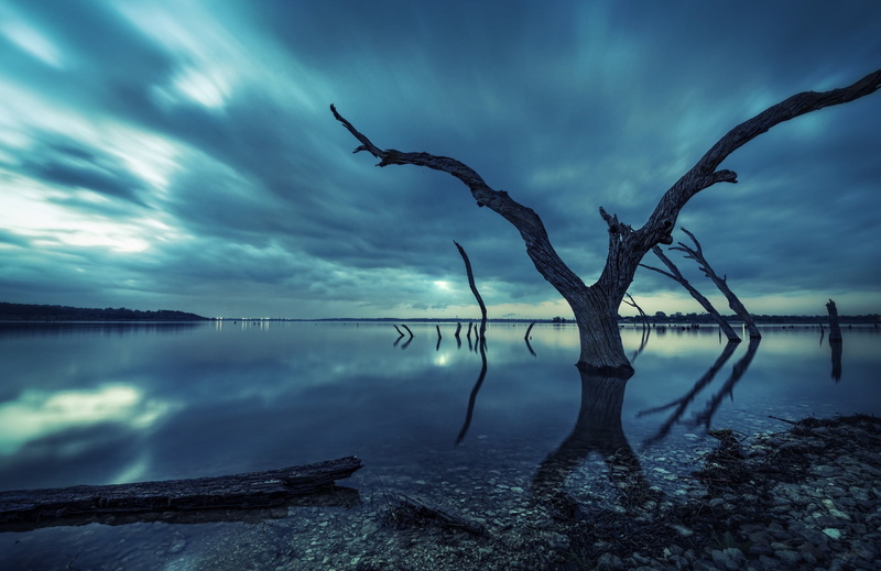 beauty in nature, sea, tree, landscape, reflection, bare tree, trees, driftwood, branch, sky, water, dead plant, no people, 1080P, plant, outdoors, coast