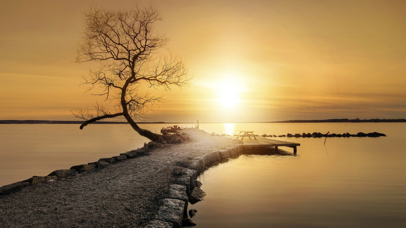dead, sea, pier, coast, horizon, dead tree, tree, 1080P, sunset, calm