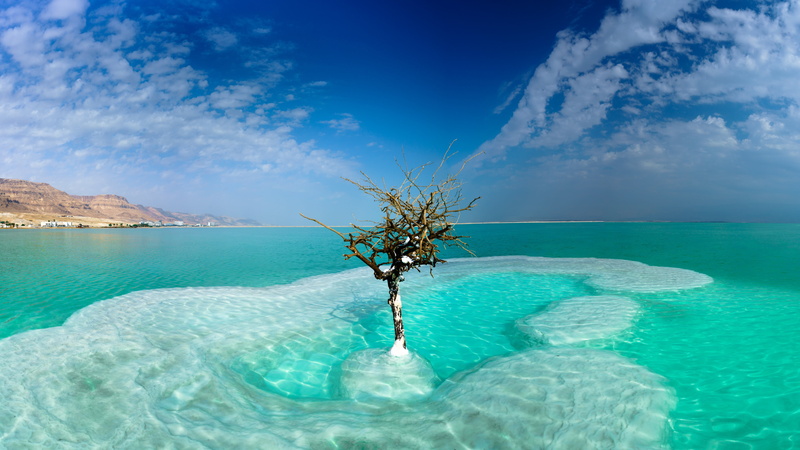 5K, nature, Israel, trees, Dead Sea