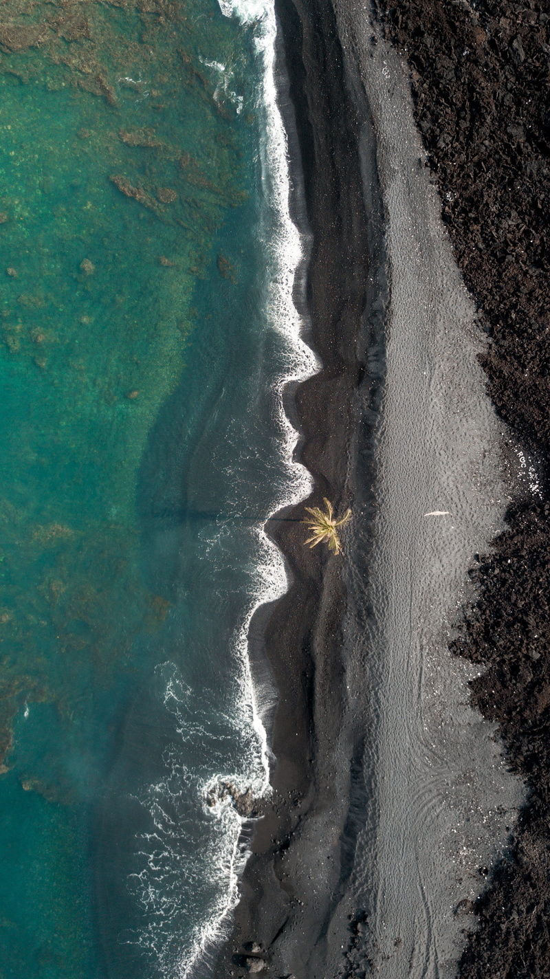 beachside, sea shore, bird, aquatic sport, ocean, land, drone view, coastal, blue, photography, motion, sunlight, black sand, sand, water, tranquility