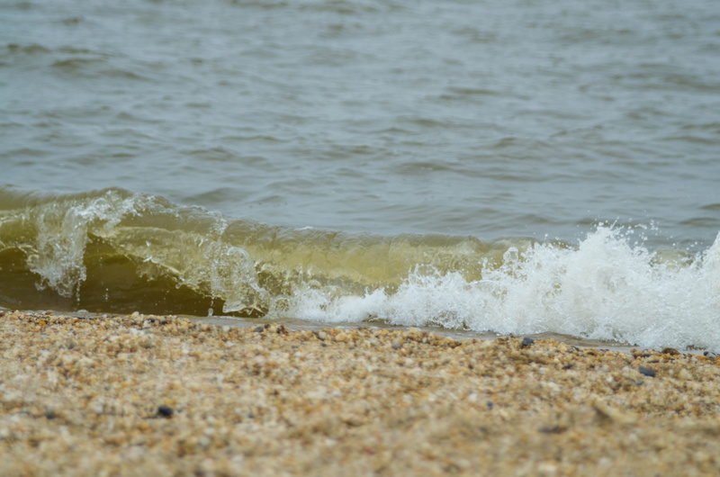 breaking, outdoors, power in nature, wave, summer, power, ocean, no people, beauty in nature, room for text, beach, water, sea, summertime, sport, selective focus