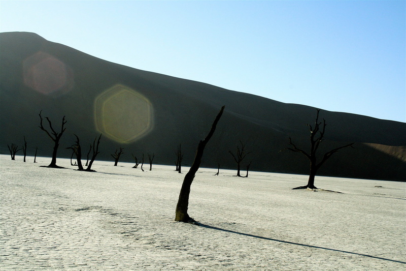 namibia, sky, shadow, land, environment, tranquil scene, trees, dunes, desert, silhouette, no people, tree, tranquility, salt pan, sunlight, day, namib naukluft park