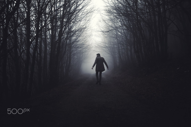 leisure activity, land, tree, monochrome, outdoors, warm clothing, lifestyles, fog, the way forward, walking, road, 500px, rear view, tranquility, direction