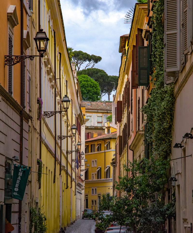 city, roman, pine, nature, street, house, day, architecture, rome, window, plant, 4K, ancient, europe, yellow, cloud - sky, houses, alley, sky, lighting equipment