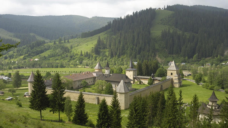 1080P, nature landscape architecture castle ancient tower trees romania fortress forest hills pine trees house road