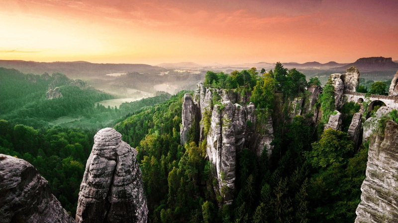 coniferous tree, tranquility, pine woodland, mountain, ancient civilization, nature landscape rock forest, fog, pine tree, tourism, the past, plant, beauty in nature