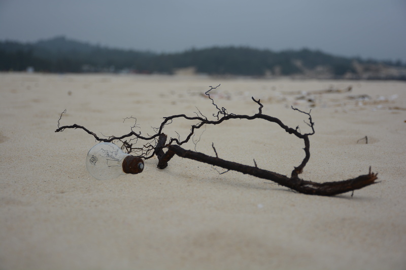 black, no people, branch, white, environment, lightbulb, scenics - nature, land, plant, driftwood, selective focus, tree, nature, sand, tranquil scene