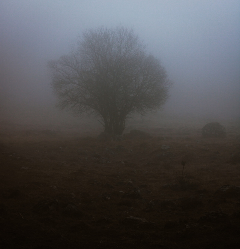 no people, mystery, mist, land, outdoors, field, beauty in nature, tranquil scene, creepy, haunted, landscape, environment, paranormal, fog, countryside