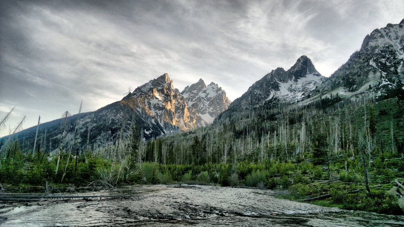 national Park, formation, trees, wood, idyllic, wilderness Area, day, outdoors, alberta, dolomites, nature, travel, pine woodland, forest, tourism, snow