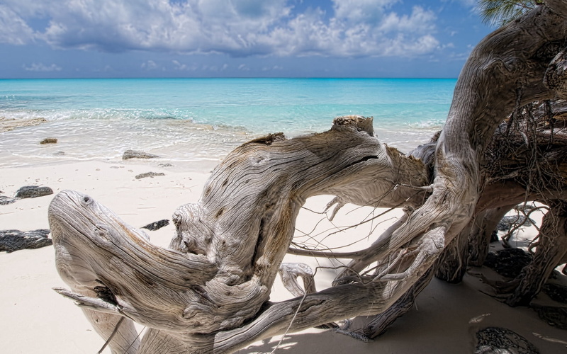 landscape, snag, rock - Object, wood, scenics, branch, sky, water, summer, horizon, tree, sand, no People, cloud - Sky, tourism, 720P, travel, island