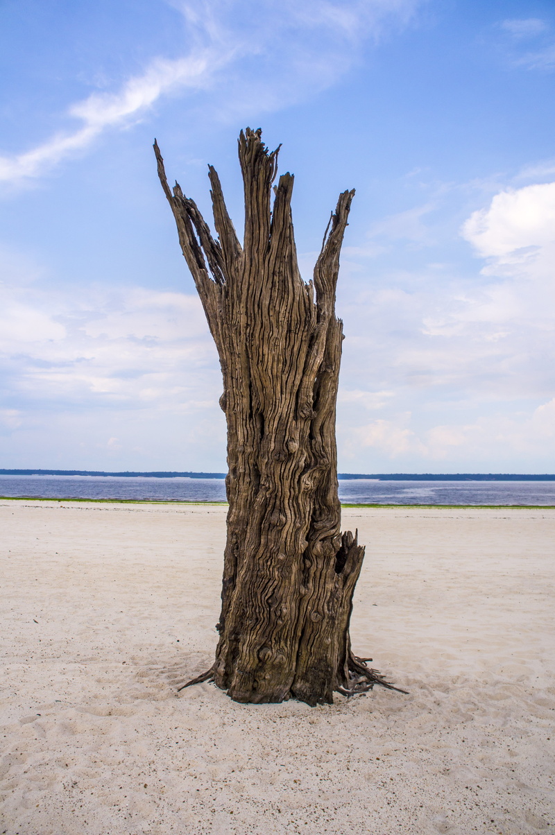 outdoors, sea, woods, trees, bark, travel, cloud - sky, horizon over water, tree, dead plant, sky, island, beauty in nature, horizon, no people, nature