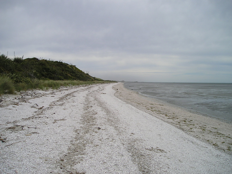 south island, sky, environment, sand, desert, beauty in nature, tranquility, non-urban scene, lagoon, beach, scenics - nature, northern tip, tranquil scene