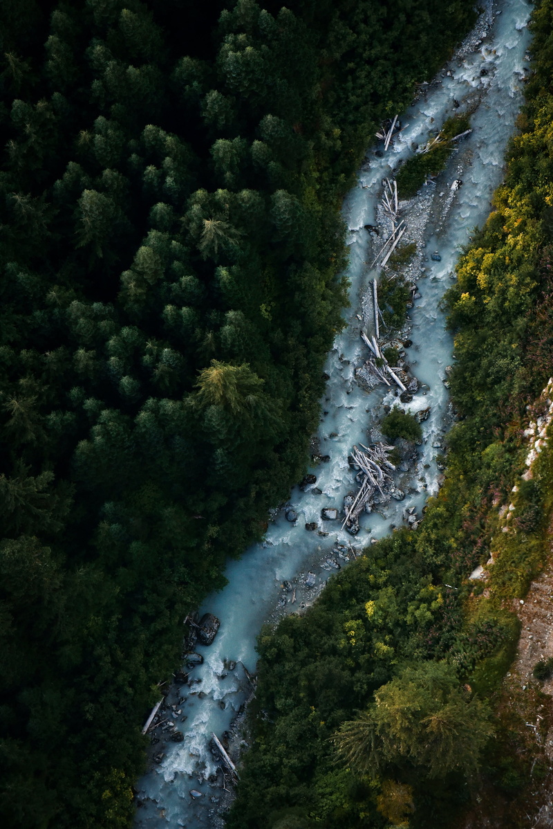scenics - nature, river, from above, s, power in nature, beauty in nature, water, motion, wild, blurred motion, trees, running, rivers, land, green color