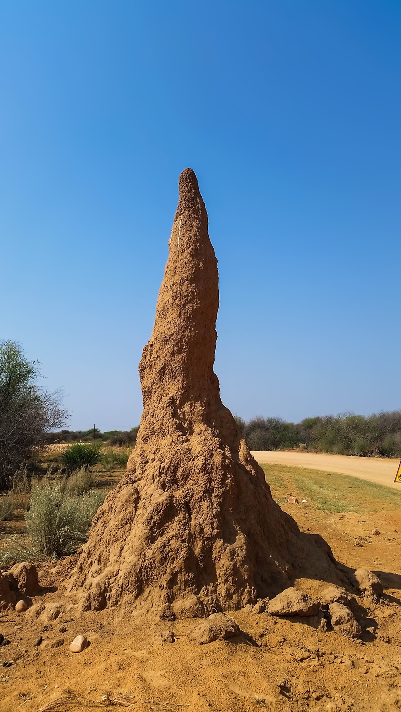 ants, heiss, outdoors, dry, rock - object, 2K, anthill, landscape, rock, field, wayside, land, tranquil scene, sunlight, clear sky, termitenbau, africa
