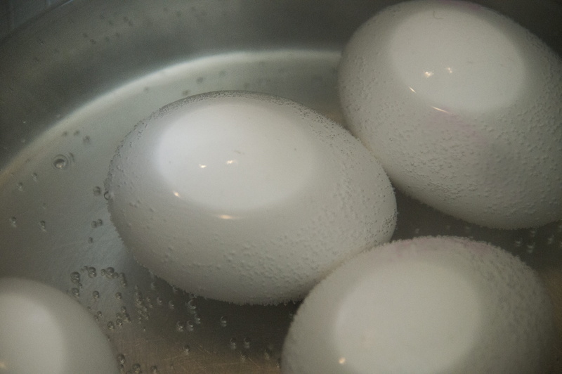 no people, extreme close-up, boil water, food and drink, household equipment, hens egg, 4K, water, wellbeing, white, nutrition, breakfast, close, remove