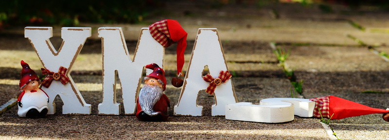 christmas time, advent, plant, decoration, winter, human limb, nature, contemplative, christmas, offspring, childhood, food and drink, full length, mood