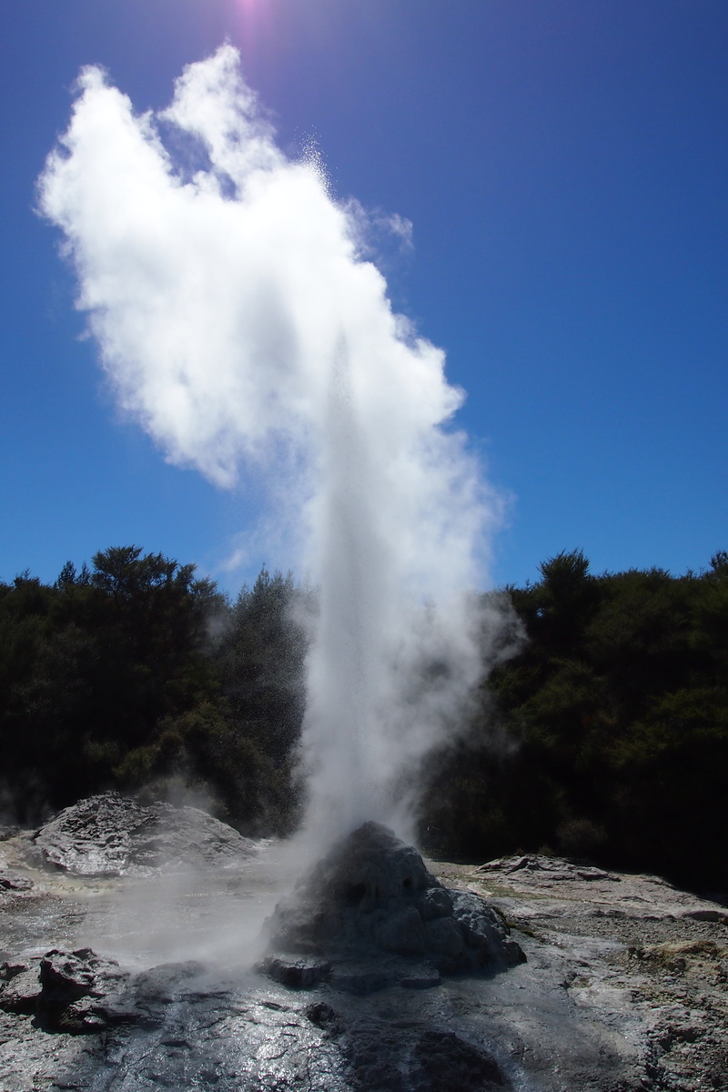 hot spring, beauty in nature, environment, non-urban scene, physical geography, detergent, volcanism, hot source, rotorua, erupting, hot, outdoors, geyser