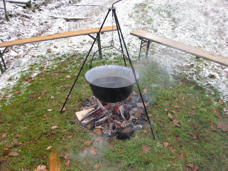 tree, flame, land, Mulled Wine, Cold, boiler, no people, camping, cauldron, plant, 2K, preparing food, day, Winter, bonfire, food and drink, preparation