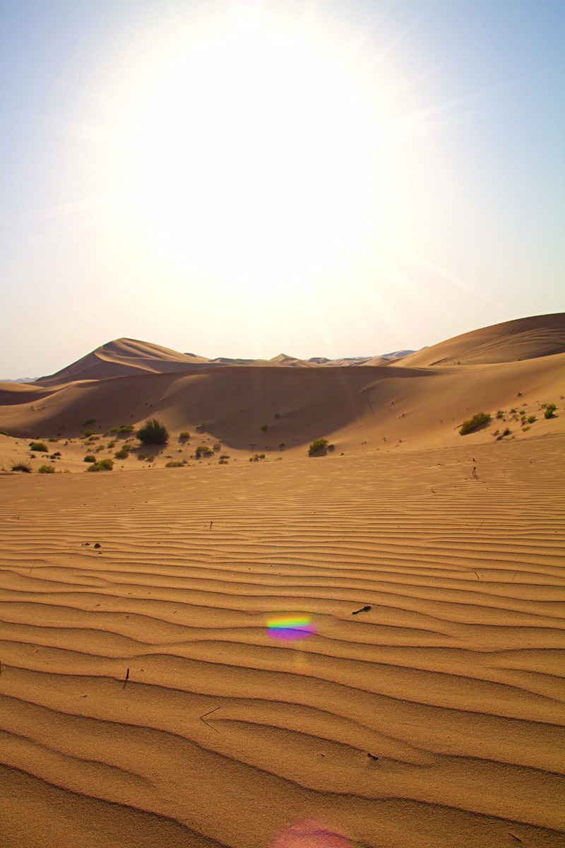 summer, beach, desert landscape, sky, emirates, remote, outdoors, no people, sunbeam, backlighting, 4K, drought, tranquility, uae, desert, sand dune, orient