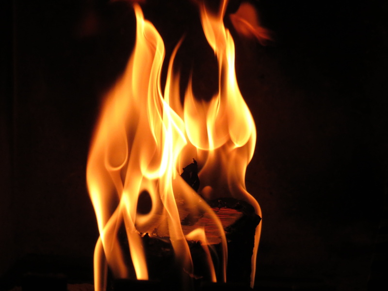 wood for the fireplace, fire, energy, orange, communication, warm, nature, orange color, wood fire, fire - natural phenomenon, open fire, heat - temperature