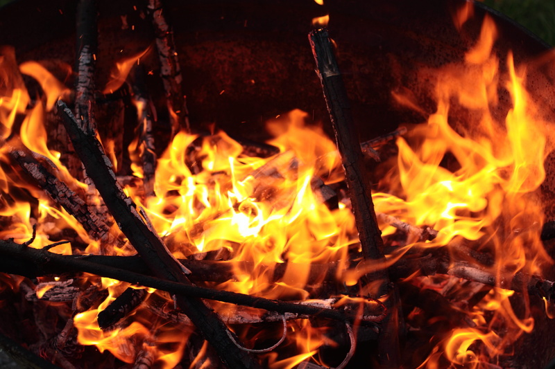 nature, wood - material, close-up, glow, 4K, no people, barbecue, log, embers, heat - temperature, motion, wood, burn, heat, flaming, burning, fireplace