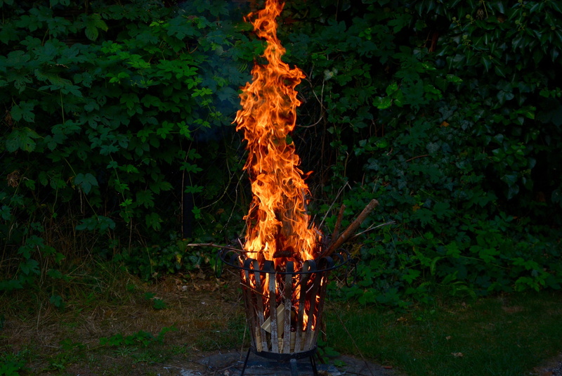 nature, 2K, motion, firewood, fire - natural phenomenon, orange color, outdoors, tree, burn, blaze, land, night, growth, wood, log, fire, heiss, heat - temperature
