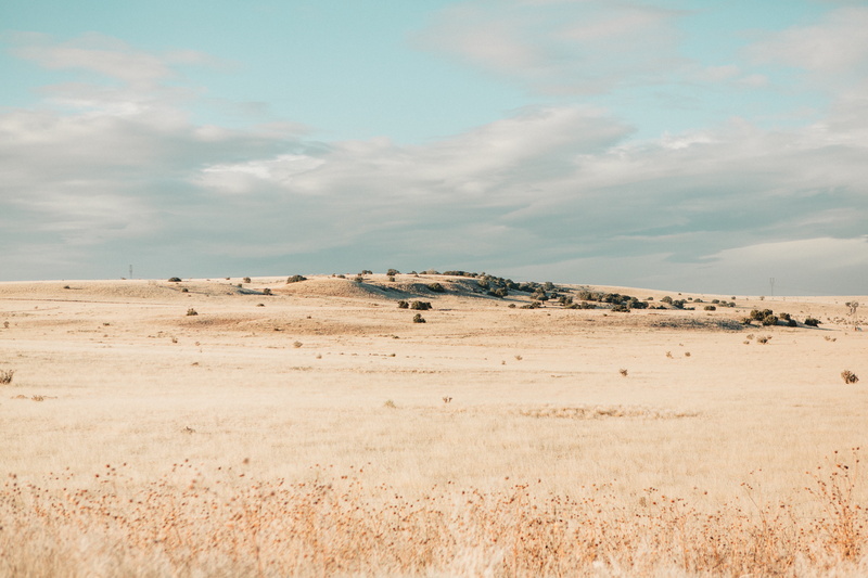 field, rural Scene, sunlight, sky, environment, land, travel, outdoors, summer, no People, beige, remote, landscape, sand Dune, 5K, extreme Terrain, horizon