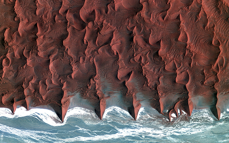 no people, beauty in nature, mammal, animal themes, sea, group of animals, 4K, wave, namib, motion, marine, red, outdoors, water, animal, animal body part