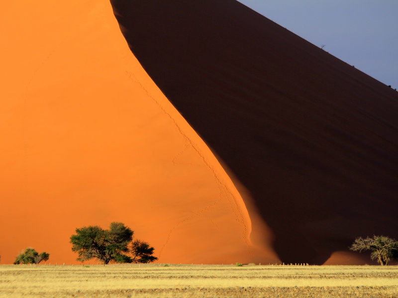 day, sw africa, plant, field, scenics - nature, outdoors, 4K, landscape, nambia photo, sand, gene taylor photography, beauty in nature, red, tranquil scene