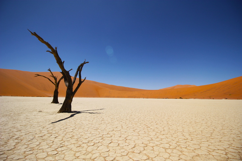 4K, Namib Desert, desert, trees, 4K, bare, Coastal desert