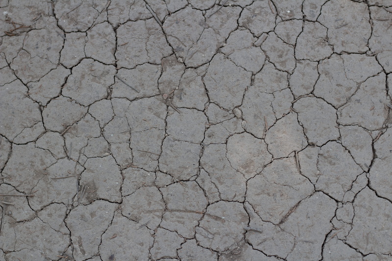 summers, scenics - nature, climate, texture, sand, mud, stone, dawn, pattern, nature, exploring, day, summer, extreme terrain, cracked, natural pattern