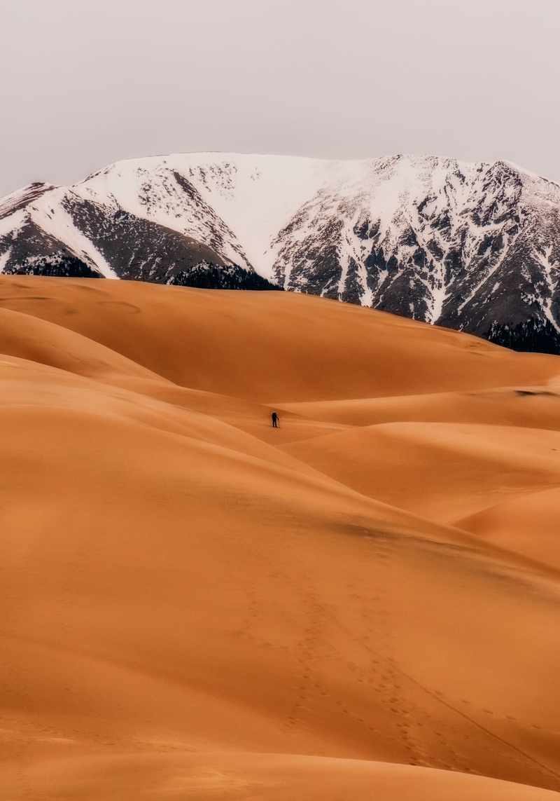 barren, cold temperature, scenics - nature, atmospheric, snow, colorado, winter, nature, arid climate, climate, 1080P, non-urban scene, landscape, no people
