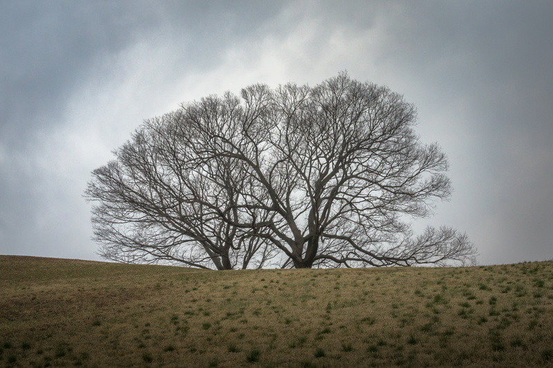 ethereal, plain, field, rainbow, eclipse, grayscale, landscape, nature, environment, photography, land, curve, plants, tranquility, beauty in nature, winter