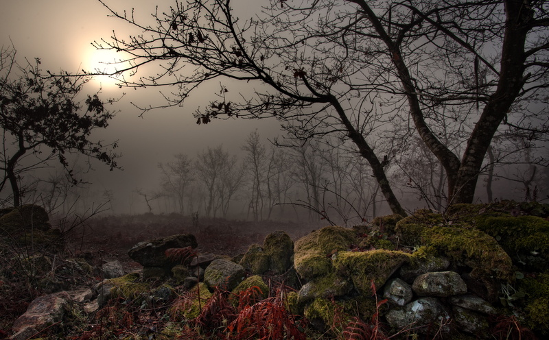 darkness, 5K, Vintage, rock, Foggy, non-urban scene, stones, plant, Spain, tranquil scene, scenics - nature, nature, bareless, rock - object, branch, sky