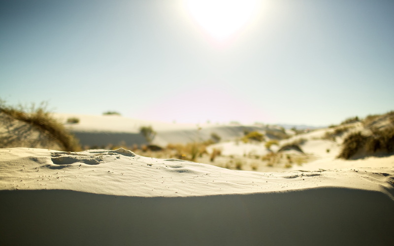 dune, soft, plants, 2K, outdoors, sand